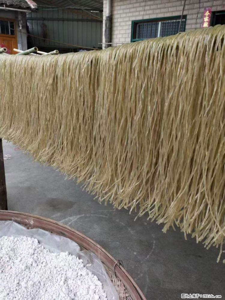 【灌阳正宗红薯粉】美女家里自己做的,干净卫生,假一赔十,价格合理,抢购电话:13737312895 - 美食天地 - 海东生活社区 - 海东28生活网 haidong.28life.com