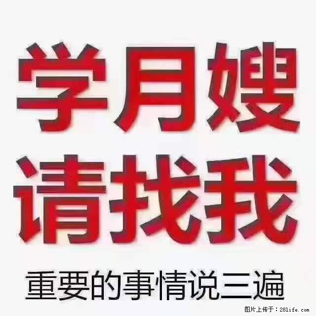为什么要学习月嫂,育婴师? - 其他广告 - 广告专区 - 海东分类信息 - 海东28生活网 haidong.28life.com