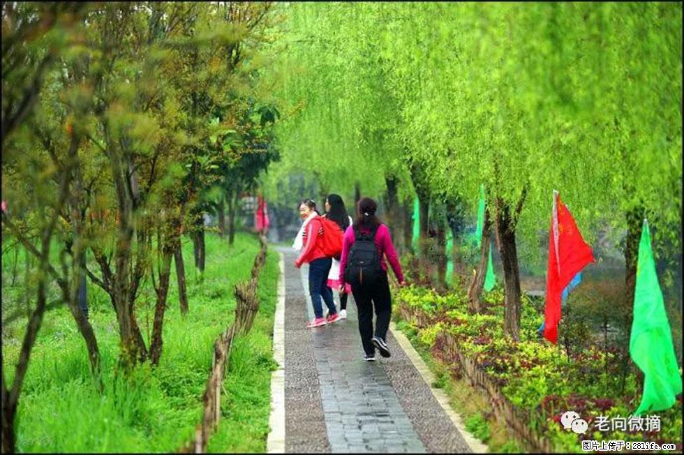 【春天,广西桂林灌阳县向您发出邀请!】江口老街又逢春 - 游山玩水 - 海东生活社区 - 海东28生活网 haidong.28life.com
