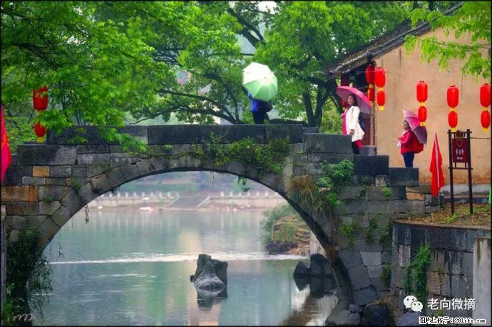 【春天,广西桂林灌阳县向您发出邀请!】江口老街又逢春 - 游山玩水 - 海东生活社区 - 海东28生活网 haidong.28life.com