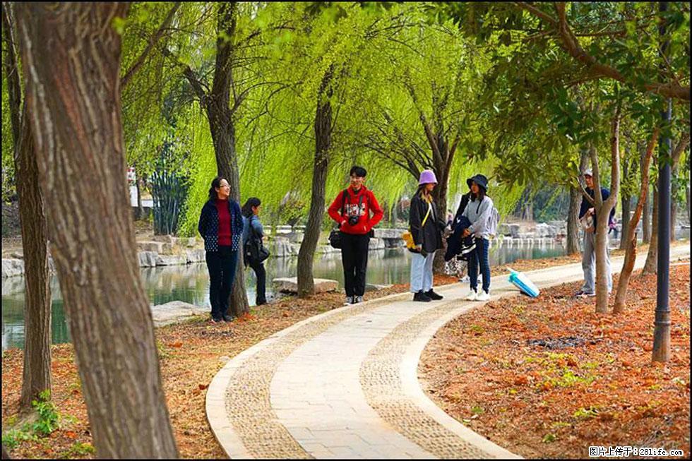 【春天,广西桂林灌阳县向您发出邀请!】江口老街又逢春 - 游山玩水 - 海东生活社区 - 海东28生活网 haidong.28life.com