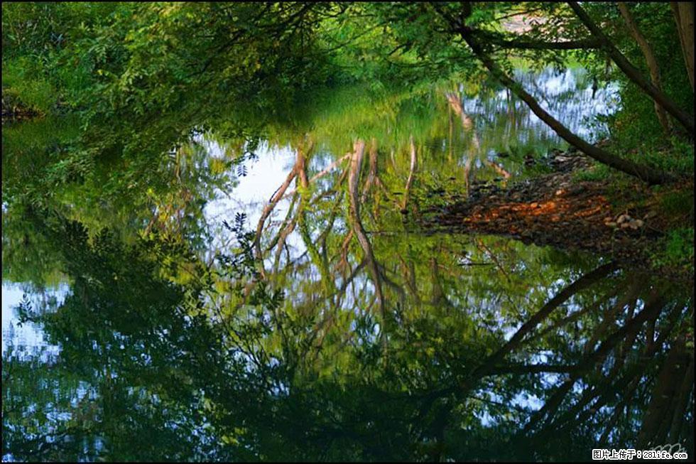 【春天,广西桂林灌阳县向您发出邀请!】熊家寨湿地公园 - 游山玩水 - 海东生活社区 - 海东28生活网 haidong.28life.com