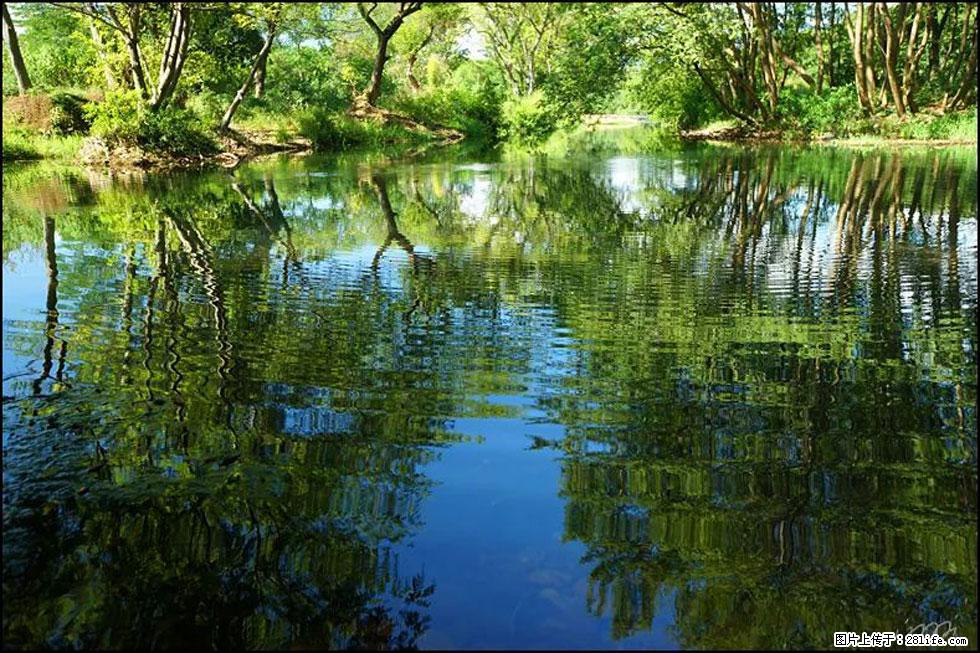 【春天,广西桂林灌阳县向您发出邀请!】熊家寨湿地公园 - 游山玩水 - 海东生活社区 - 海东28生活网 haidong.28life.com