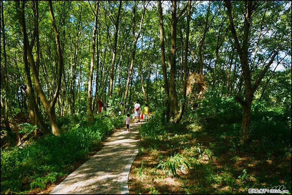 【春天,广西桂林灌阳县向您发出邀请!】熊家寨湿地公园 - 游山玩水 - 海东生活社区 - 海东28生活网 haidong.28life.com