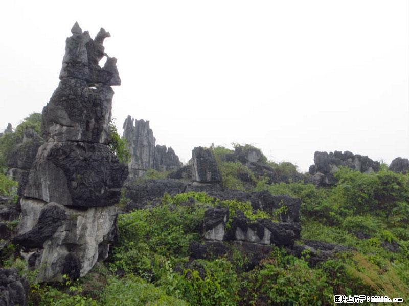 桂林旅游名城景点：灌阳文市石林 - 游山玩水 - 海东生活社区 - 海东28生活网 haidong.28life.com