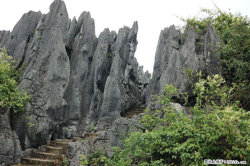 桂林旅游名城景点：灌阳文市石林 - 游山玩水 - 海东生活社区 - 海东28生活网 haidong.28life.com