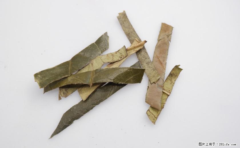 苦丁茶有哪些功效和作用 - 生活百科 - 海东生活社区 - 海东28生活网 haidong.28life.com