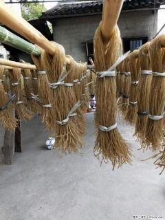 【灌阳正宗红薯粉】美女家里自己做的,干净卫生,假一赔十,价格合理,抢购电话:13737312895 - 海东28生活网 haidong.28life.com