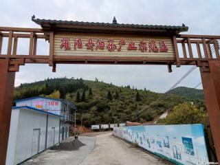【灌阳县油茶产业示范区】一个有着充实的精神生活的人,对待身外之物自会有一种淡泊的态度 - 海东28生活网 haidong.28life.com