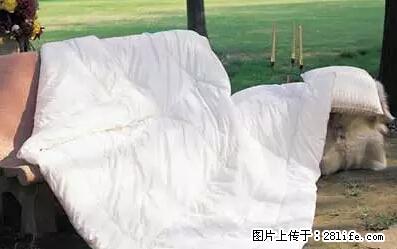 被子有异味?只要这样做,比晒太阳还强100倍! - 家居生活 - 海东生活社区 - 海东28生活网 haidong.28life.com