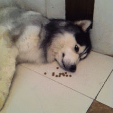 笑癫了！一女的怀孕三年未生，他终于忍不住了... - 娱乐八卦 - 海东生活社区 - 海东28生活网 haidong.28life.com