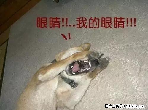 笑癫了！一女的怀孕三年未生，他终于忍不住了... - 娱乐八卦 - 海东生活社区 - 海东28生活网 haidong.28life.com