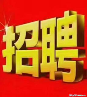 【东莞市威萨电子科技有限公司】公司直招:外贸业务、仓管员、跟单文员、普工 - 海东28生活网 haidong.28life.com