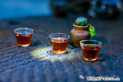 时间果百年古树2025年春红茶 - 购物交流 - 海东生活社区 - 海东28生活网 haidong.28life.com