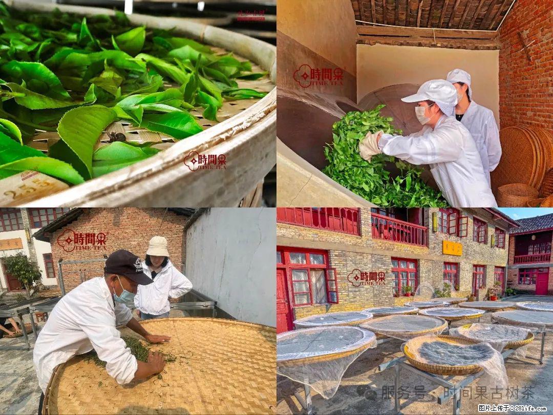 时间果百年古树龙珠普洱生茶 - 购物交流 - 海东生活社区 - 海东28生活网 haidong.28life.com