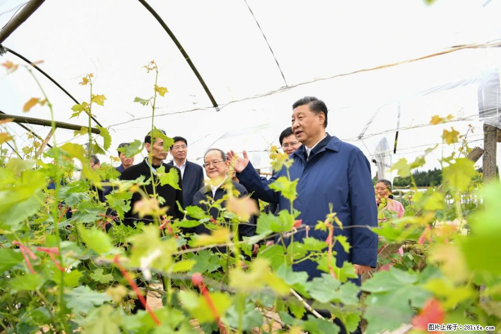 习近平赴广西考察调研 - 海东生活资讯 - 海东28生活网 haidong.28life.com