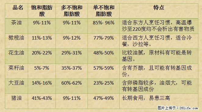 揭秘茶油的5大核心营养成分!被称为人体健康的“守护盾”! - 海东生活资讯 - 海东28生活网 haidong.28life.com