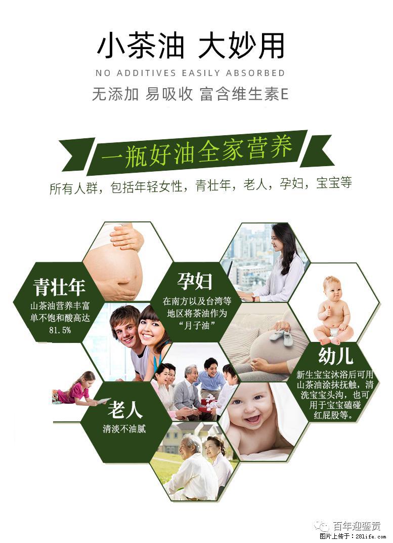 世界没有真相,只有认知,最好的食用油是中国的山茶油! - 海东生活资讯 - 海东28生活网 haidong.28life.com
