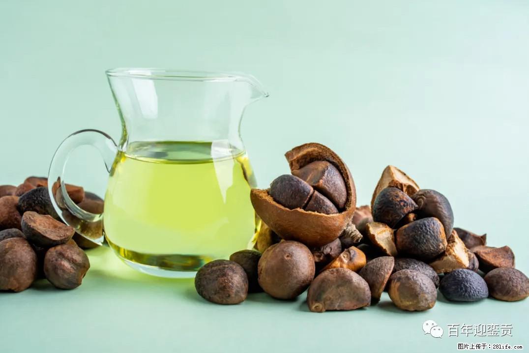 世界没有真相，只有认知，最好的食用油是中国的山茶油！ - 海东生活资讯 - 海东28生活网 haidong.28life.com