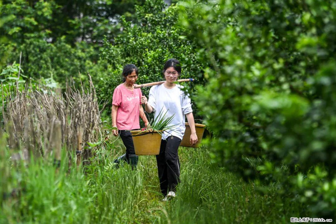 全网追的“扁担女孩”，找了一份暑假工，时薪12元 - 海东生活资讯 - 海东28生活网 haidong.28life.com