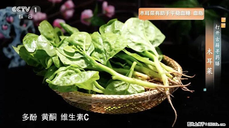 比牛奶补钙还厉害！凉血解毒、稳血糖...这菜冬天必吃，很多人却当草 - 海东生活资讯 - 海东28生活网 haidong.28life.com