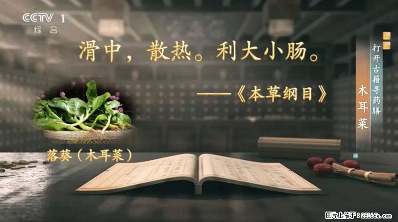 比牛奶补钙还厉害！凉血解毒、稳血糖...这菜冬天必吃，很多人却当草 - 海东生活资讯 - 海东28生活网 haidong.28life.com