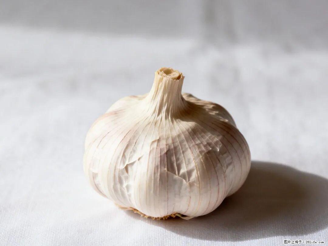 关于大蒜，除了“天然抗生素”，这4个谣言更该警惕! - 海东生活资讯 - 海东28生活网 haidong.28life.com