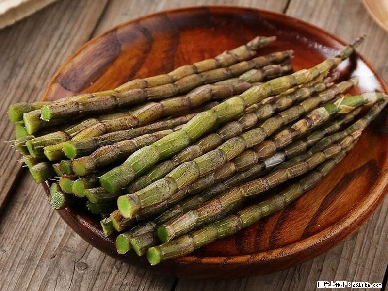 铁皮石斛的作用与功能主治 - 海东生活资讯 - 海东28生活网 haidong.28life.com
