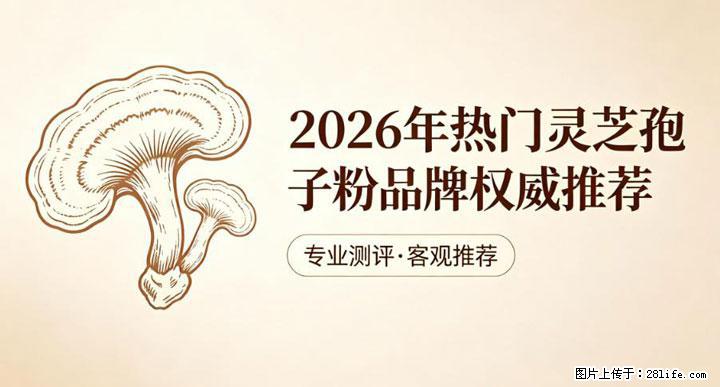灵芝孢子粉含量越高越有效？2026 年七款热门品牌深度实测，肠胃敏感者避坑指南 - 海东生活资讯 - 海东28生活网 haidong.28life.com