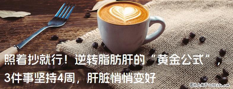 照着抄就行！逆转脂肪肝的“黄金公式”，3件事坚持4周，肝脏悄悄变好 - 海东生活资讯 - 海东28生活网 haidong.28life.com